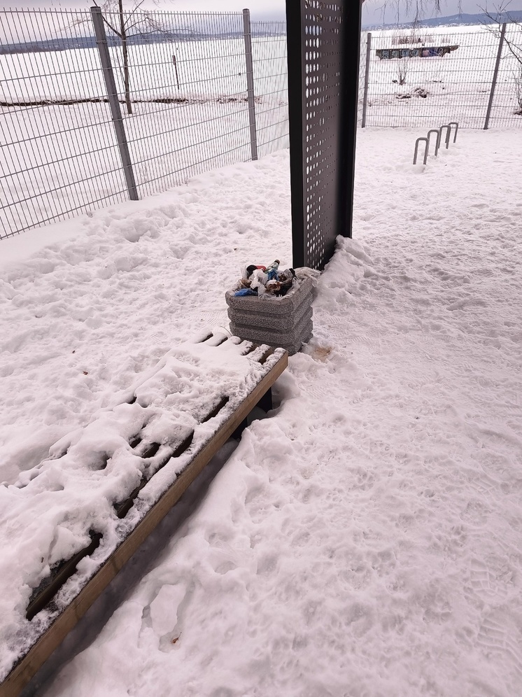 Собачники в Петрозаводске жалуются: мусор с площадки для выгула собак не вывозят