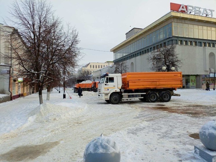 В Пензе чиновники проверят свалку снега под новым путепроводом