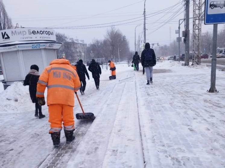 В Белгороде за неделю потратили около 40 тонн соли для борьбы с гололедом