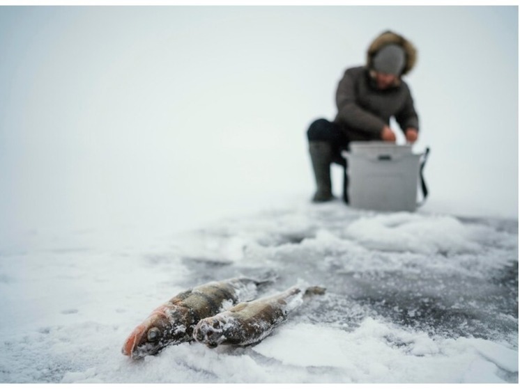 59-летнего браконьера будут судить за вылов 48 рыб под Новосибирском