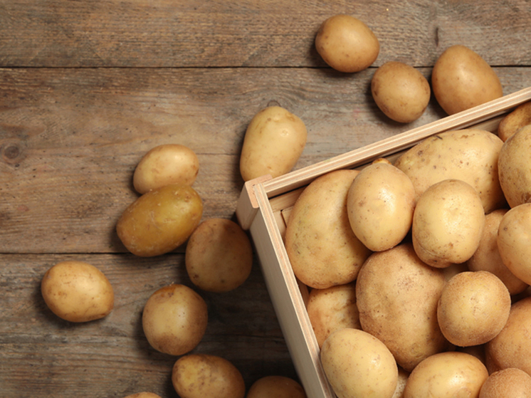 РСХБ рассказал, как полезнее всего есть картофель