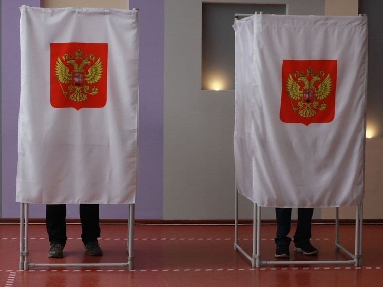 Туляки могут участвовать в выборах на любом избирательном участке РФ