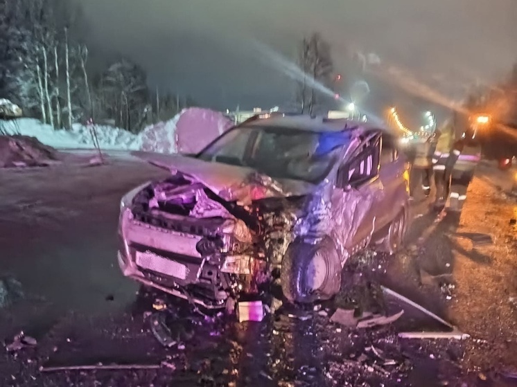 Водитель попал в больницу после аварии с грузовиком на трассе в Карелии