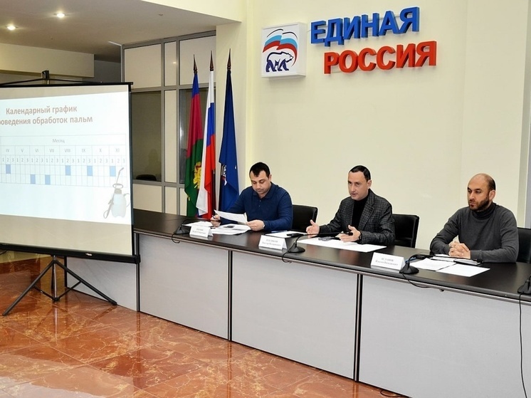 Депутат ЗСК Виктор Тепляков провел встречу по вопросам защиты сочинских пальм от вредителей