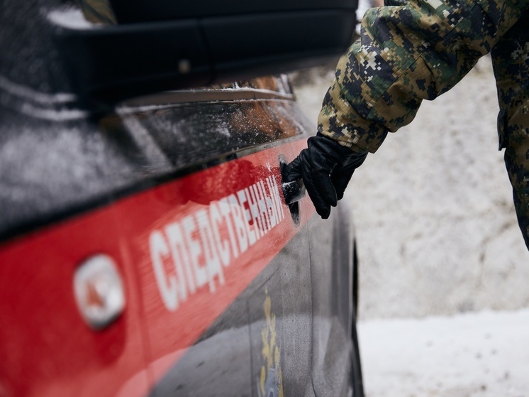 Тулячка винит медиков в смерти 3-летнего ребёнка: мать дошла до главы СК РФ