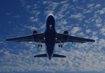 Транспортная прокуратура проведет проверку по факту отказа двигателя в самолете авиакомпании «Сибирь» (принадлежит S7)
