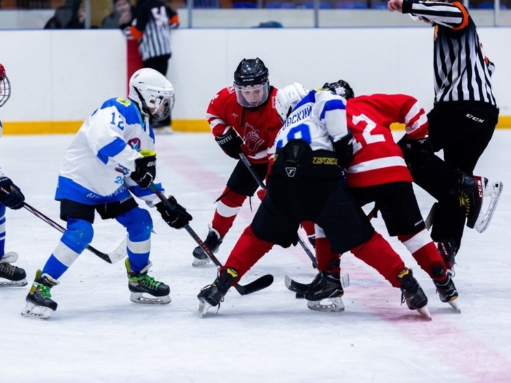 В Архангельске подвели итоги регионального этапа всероссийских соревнований по хоккею «Золотая шайба»