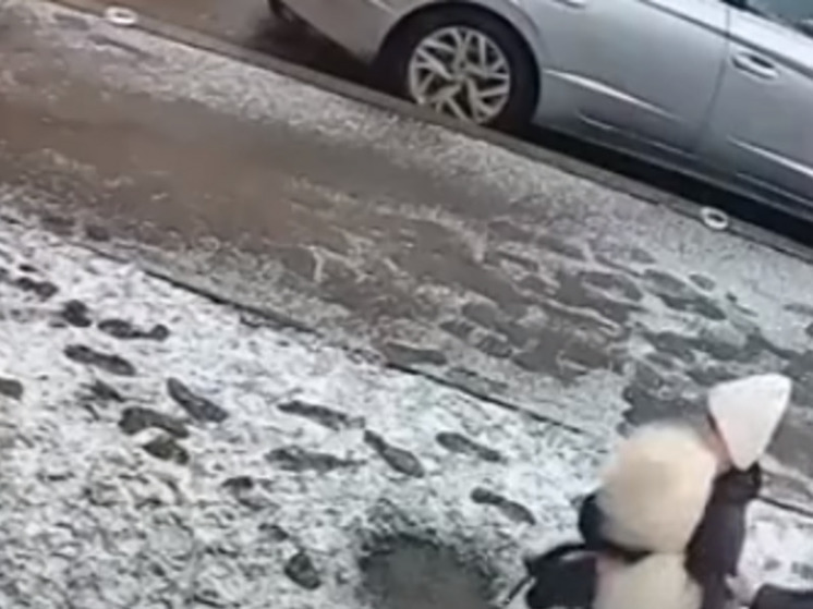 В Ростове бойцовская собака напала и покусала 12-летнюю девочку