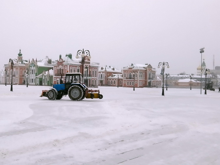 С улиц Йошкар-Олы вывезено больше 100 000 кубов снега