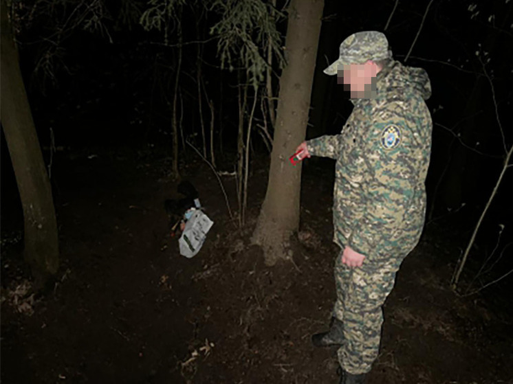 Mash: петербуржцы 15 и 16 лет признаны вменяемыми после жестокого убийства 13-летней девочки