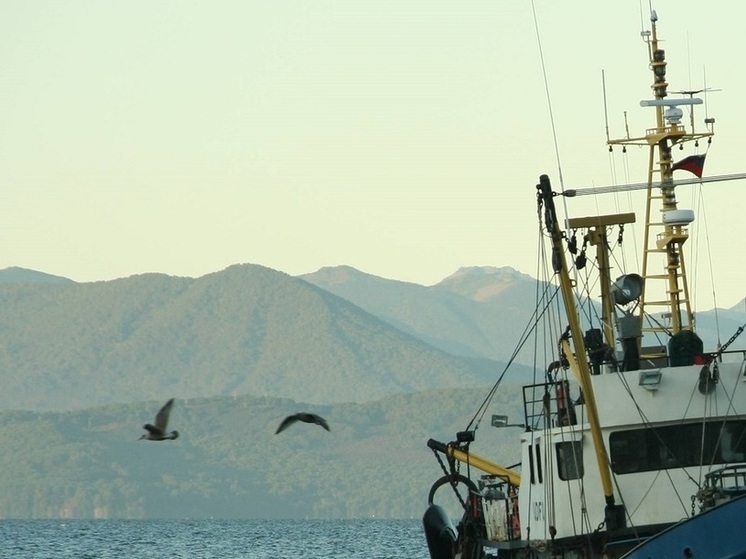 Kyodo: танкер "Остров Сахалин" застрял во льдах в Охотском море