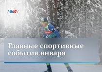 Во вторник, 30 января, в 13:00 прошел прямой эфир из пресс-центра «МК» с шеф-редактором портала «МК-Спорт» Сергеем Алексеевым.