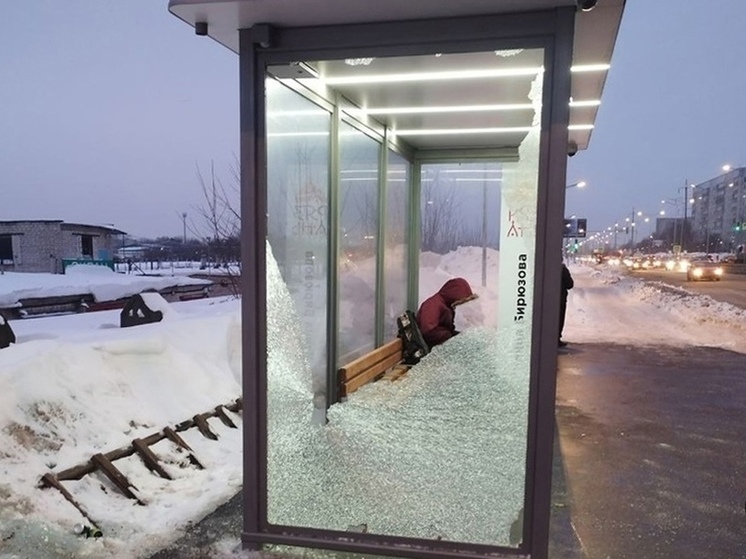 На Северной окружной в Рязани неизвестные разбили новую остановку