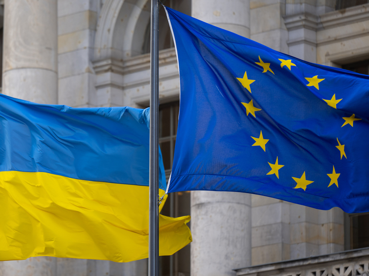 Вице-спикер ЕП Этьен выступил против быстрого вступления Украины в ЕС