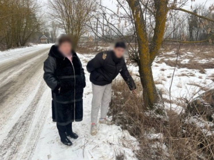 В Орловской области осудили участников наркоторговой группы