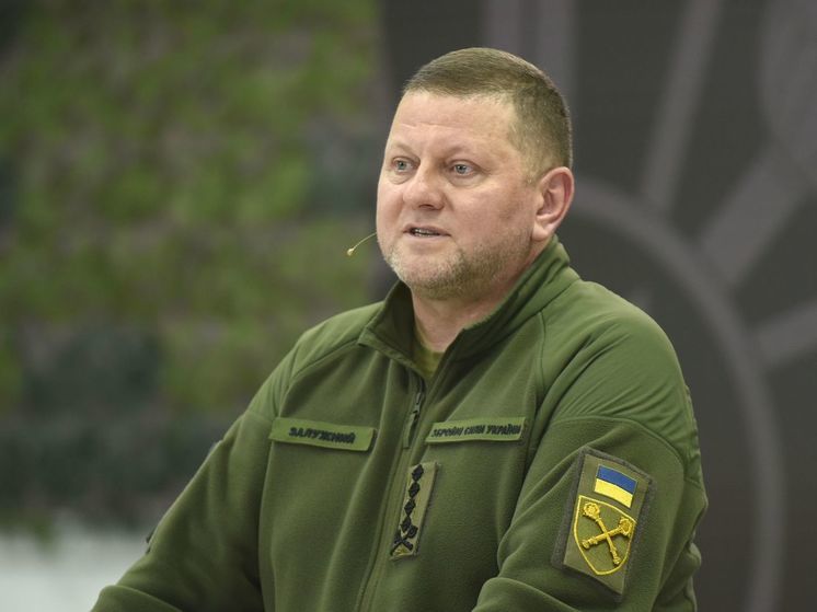 Гончаренко: Залужному предложили должность посла страны ЕС, но он отказался