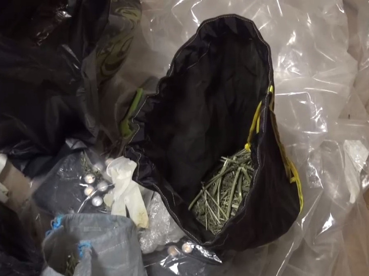 Житель столицы в Подмосковье выращивал марихуану