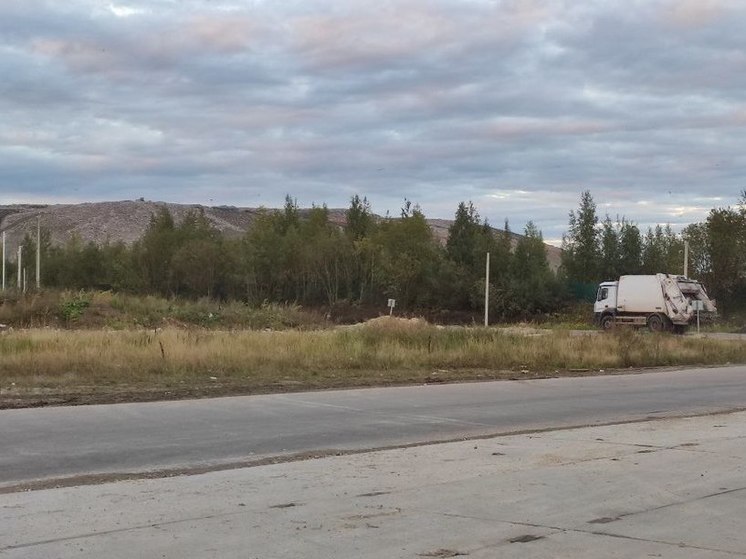 В Чудовском районе снова выявлены нарушения на полигоне ТКО