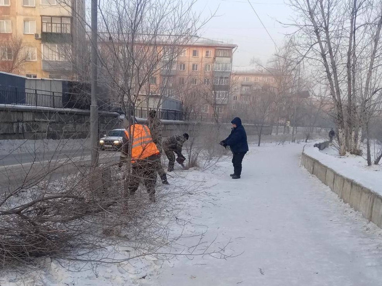 В Улан-Удэ подрезают и поднимают разросшиеся деревья