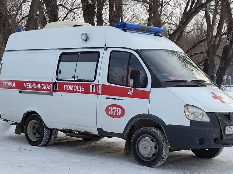 Берёза упала на жителя Омской области и сломала ему кости лица
