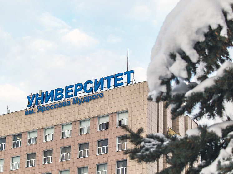 Каждый третий магистрант окончил Новгородский университет с отличием