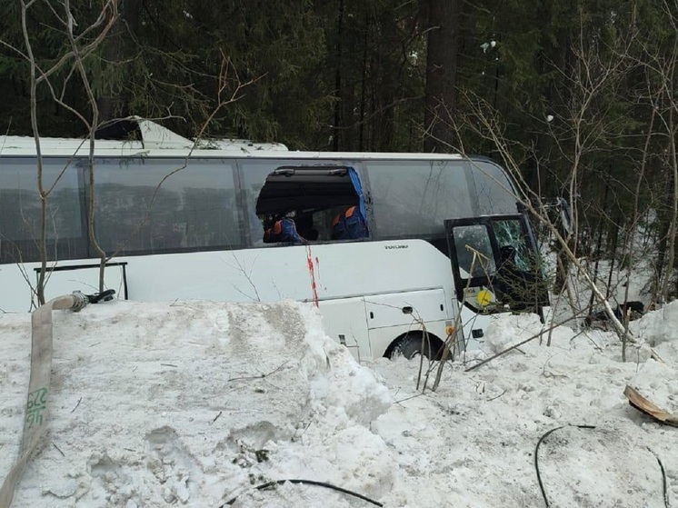 В ДТП с хоккейной командой погибли два участника СВО