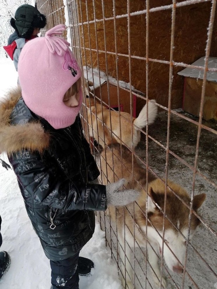 В Салехарде младшеклассники с гостинцами навестили приютских животных