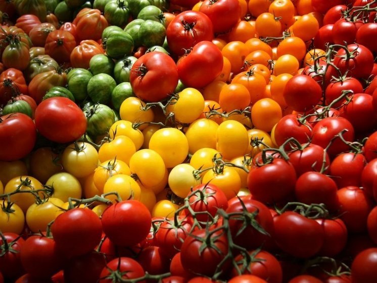 Эксперт назвал несколько правил большого урожая помидор