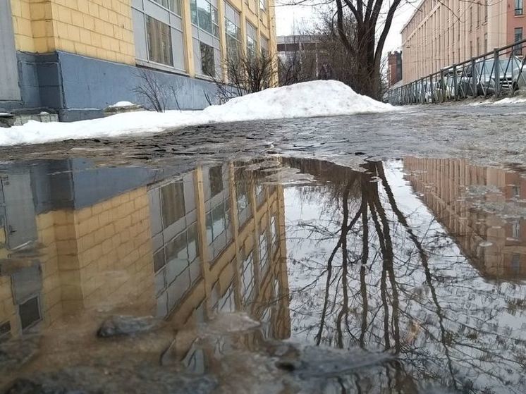 Власти Калининграда рассказали об устранении подтоплений