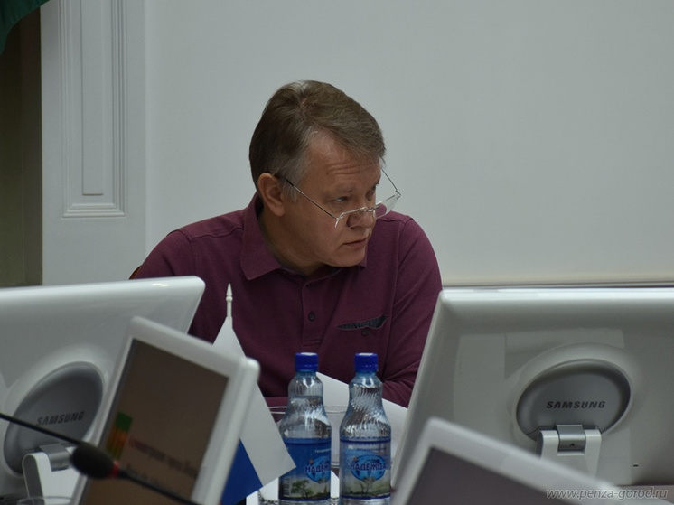 Глава Пензы  подал идею ввести штрафы против предпринимателей, которые не убирают снег