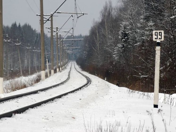 В Долгопрудном задержали диверсантов за поджог на железной дороге