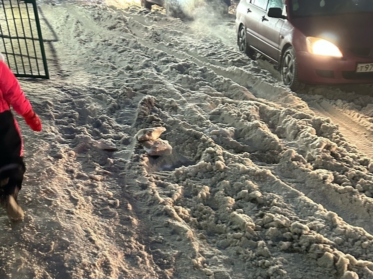 Рязанцы пожаловались на нечищеную дорогу возле детского сада №22