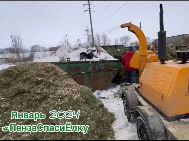 Пензенцам показали процесс переработки новогодних елок