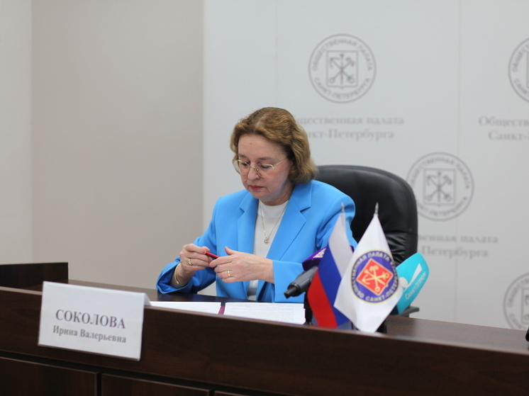 Общественная палата и Избирком Петербурга заключили соглашение о сотрудничестве