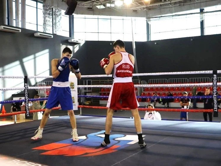 В столице Кубани стартовали Всероссийские соревнования по боксу имени Артёма Лаврова