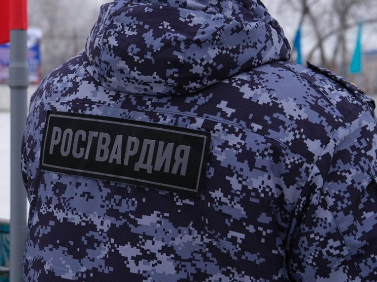 За неделю тамбовские росгвардейцы изъяли 4 единицы незаконного оружия