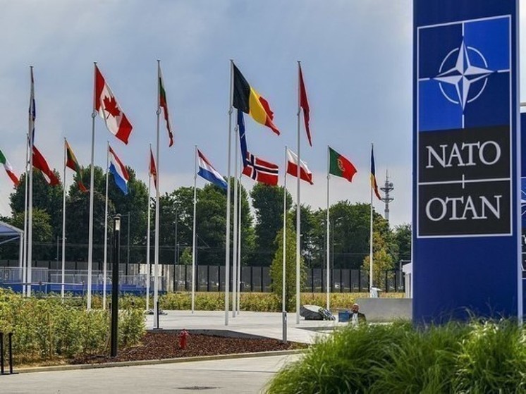 FP: Германия и США препятствуют процессу вступления Украины в НАТО