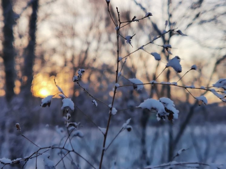 «Снежный десант» из Хабаровска высадится в поселках края