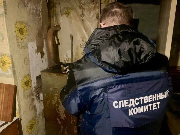 В Питерском районе обнаружены тела отравившихся газом людей