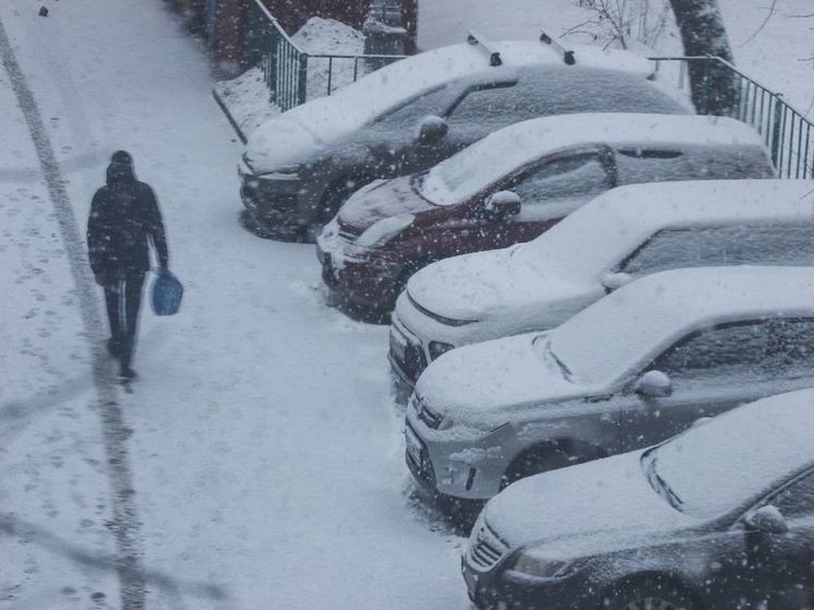 Синоптик Тишковец спрогнозировал теплый и снежный февраль в Москве