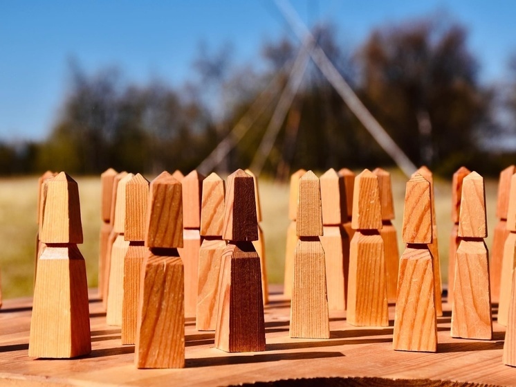 Школьников из НАО пригласили на турнир по игре в Тебко