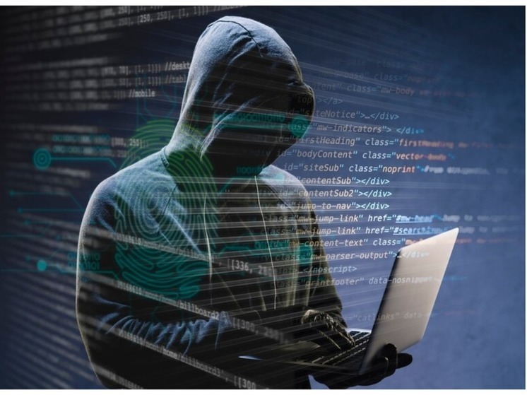 Житель Новосибирской области устроил кибератаку на ресурс Правительства РФ