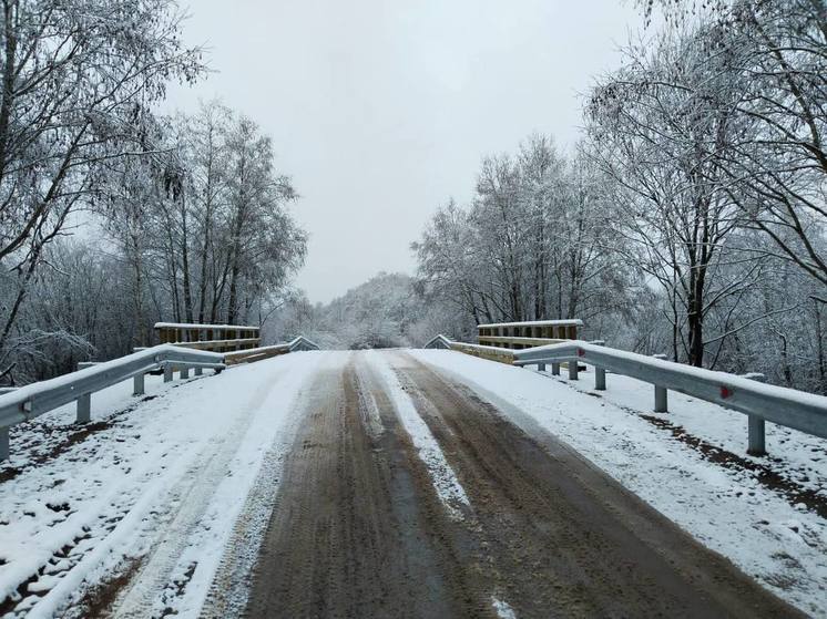 В Новгородской области после ремонта введены в эксплуатацию еще три моста