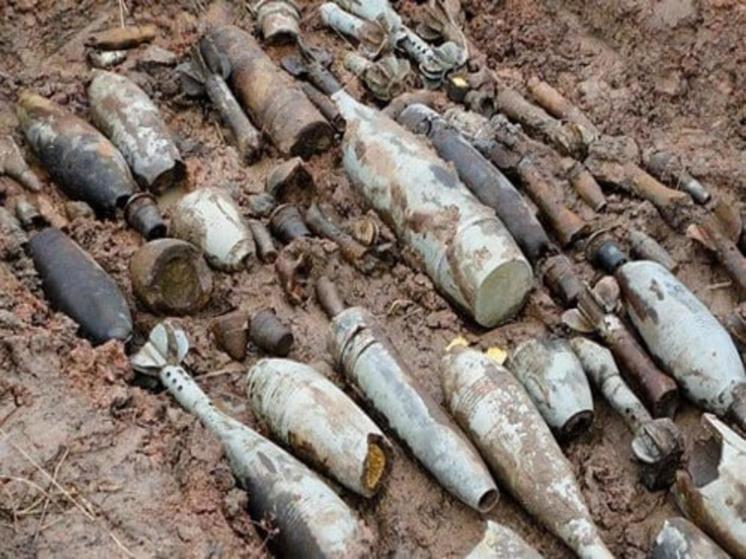 В Донском регионе обнаружили почти 400 боеприпасов в 2023 году