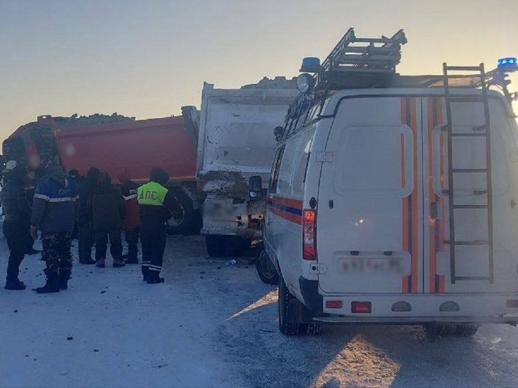 На трассе Коротчаево — Тазовский столкнулись 7 грузовиков: есть пострадавшие