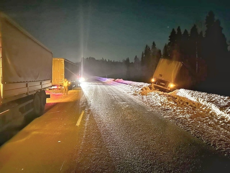 ГИБДД рассказала, кто пострадал в лобовом столкновении грузовиков в Карелии