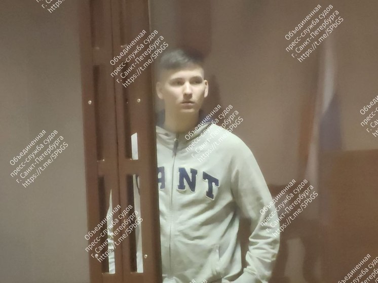 В Петербурге обвиняемого в диверсии Зайцева приговорили к 8 годам лишения свободы