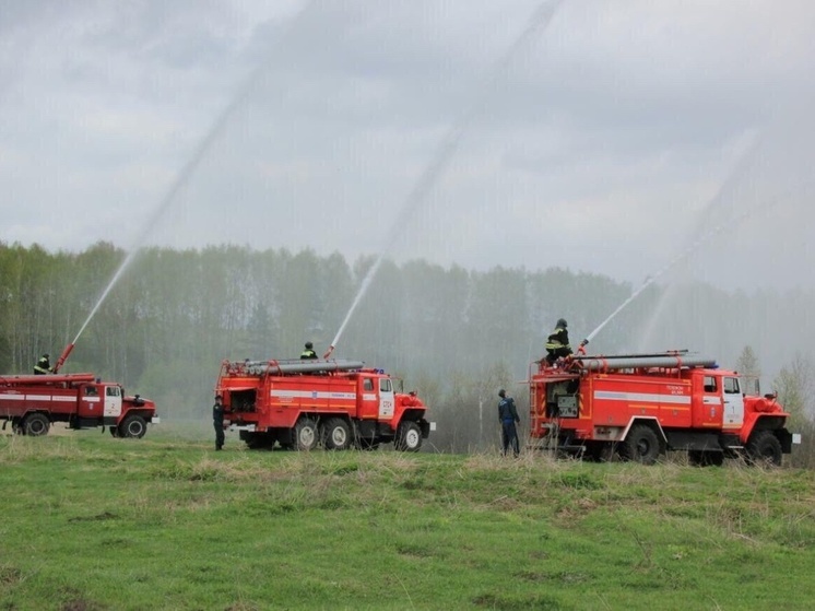 Обеспечение пожарной безопасности Кузбасских лесов обойдется в 120 млн