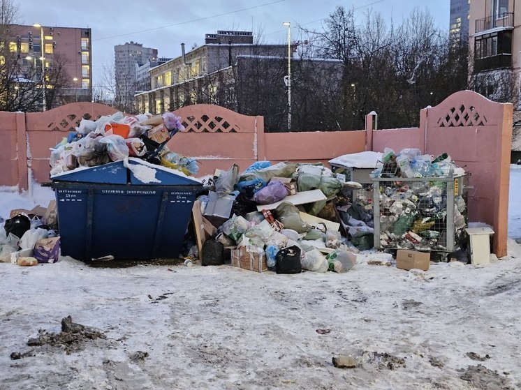 Экоакция по сбору вторсырья пройдет в Сосновом Бору 3 февраля