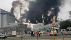 В Японии произошел пожар на теплоэлекстростанции: видео происшествия